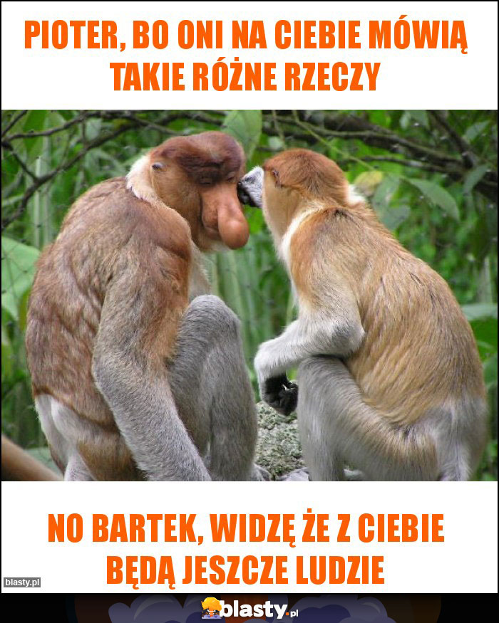 Pioter, bo oni na ciebie mówią takie różne rzeczy