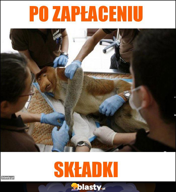 Po zapłaceniu