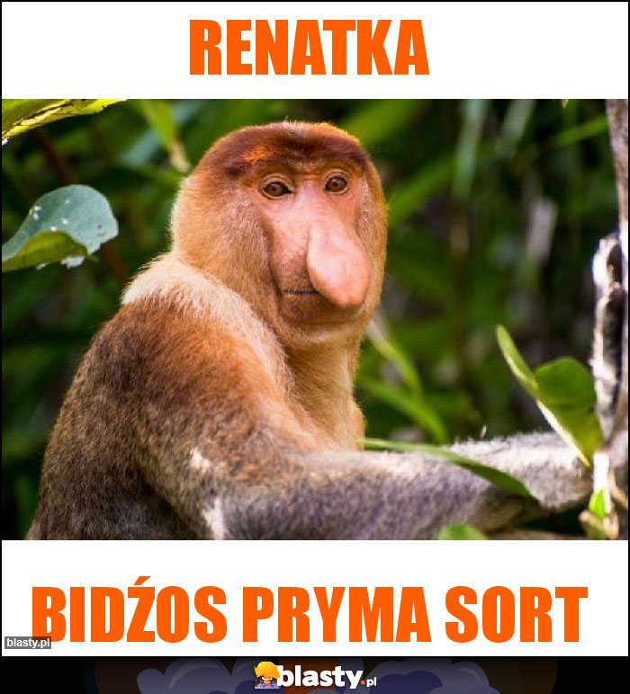 RENATKA