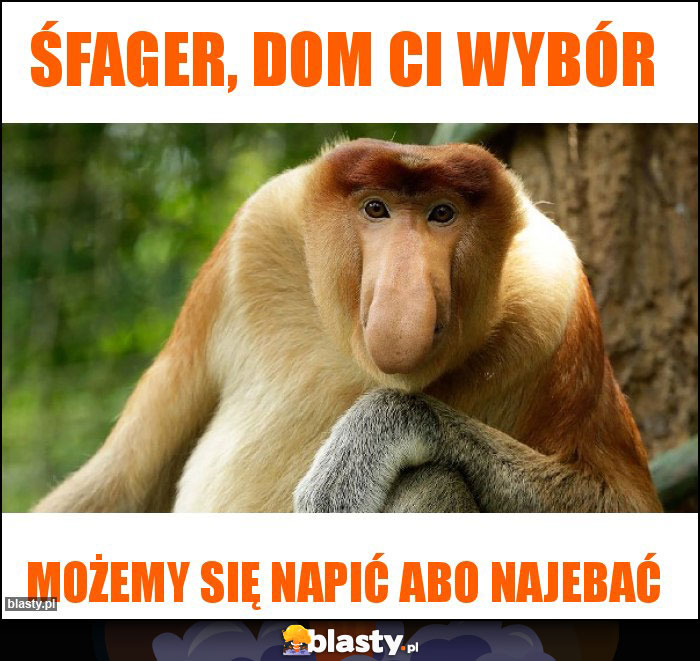 Śfager, dom ci wybór