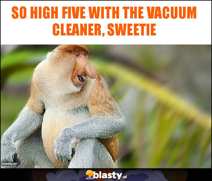 so high five with the vacuum cleaner, Sweetie