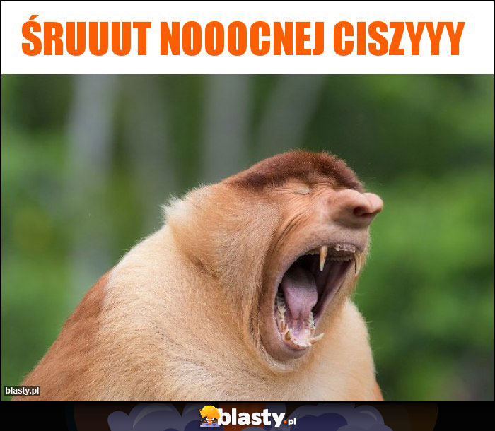 Śruuut nooocnej ciszyyy