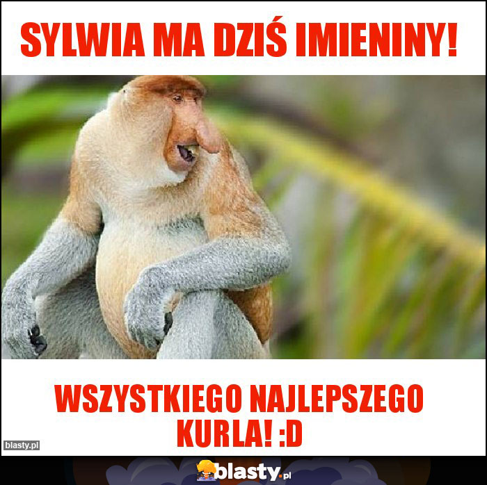 Sylwia ma dziś imieniny!