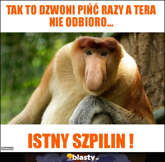 Tak to dzwoni pińć razy a tera nie odbioro...