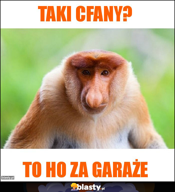 TAKI CFANY?