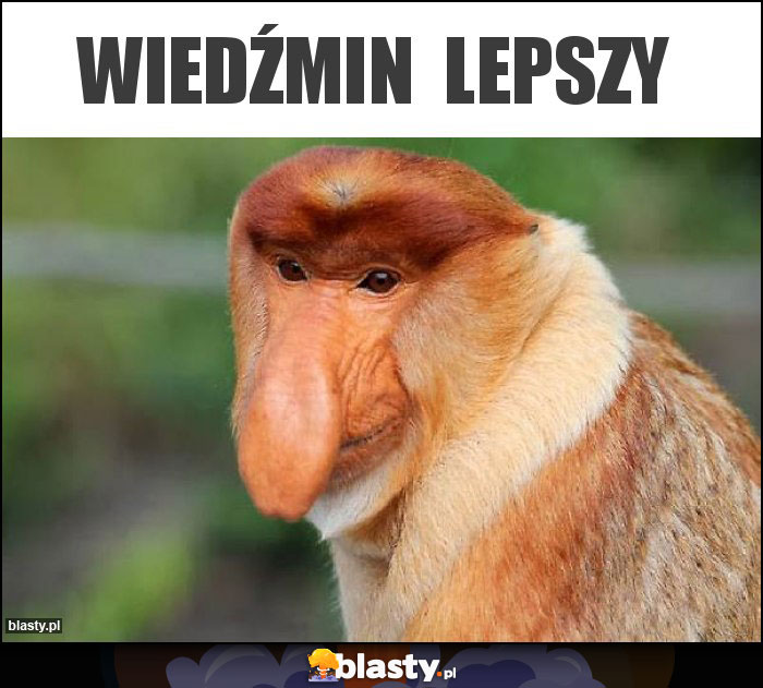 Wiedźmin  lepszy