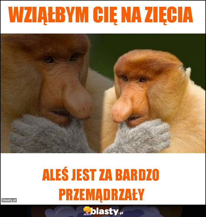 wziąłbym cię na zięcia