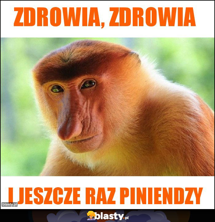 ZDROWIA, ZDROWIA