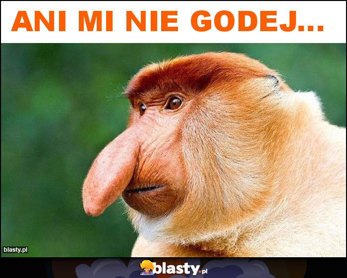 ANI MI NIE GODEJ...