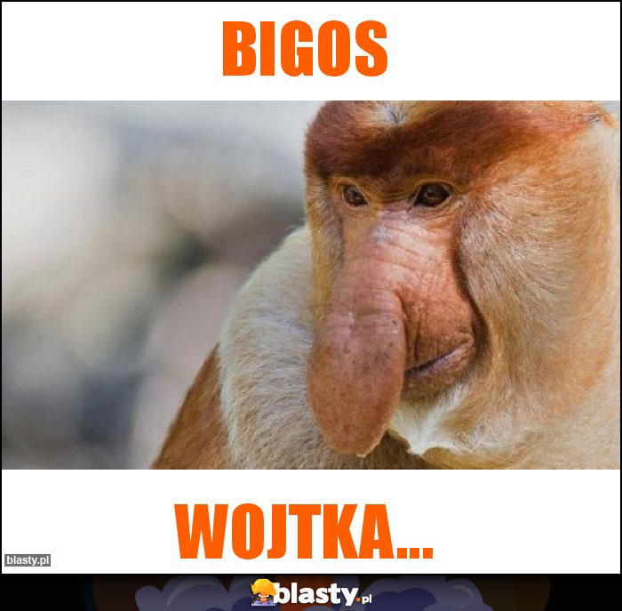 Bigos