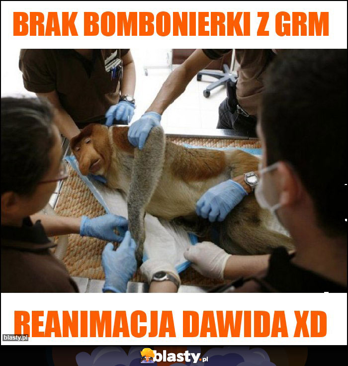 Brak bombonierki z grm