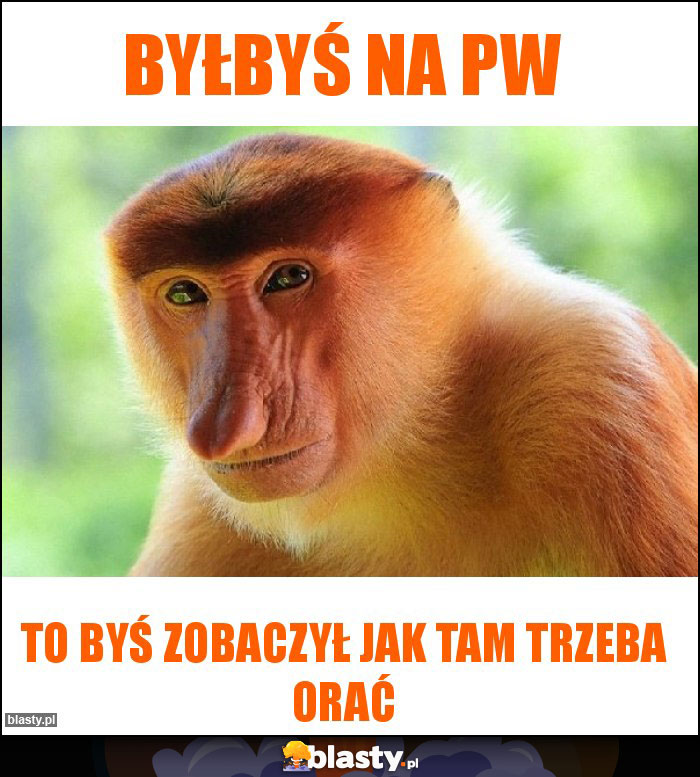 Byłbyś na PW