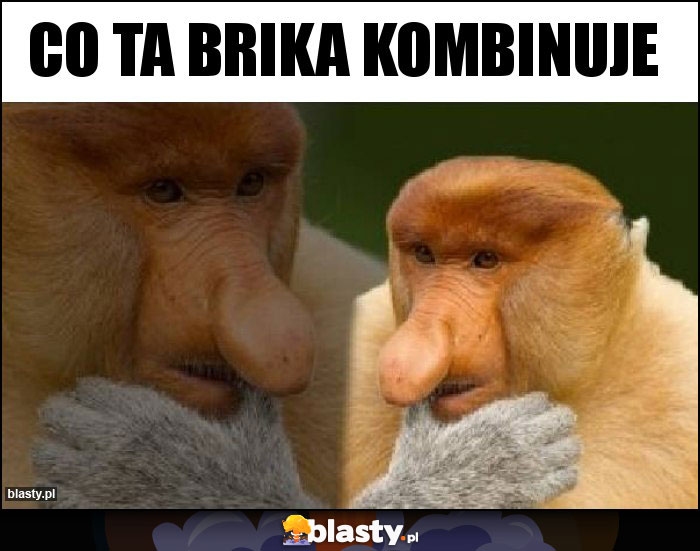 Co ta Brika kombinuje