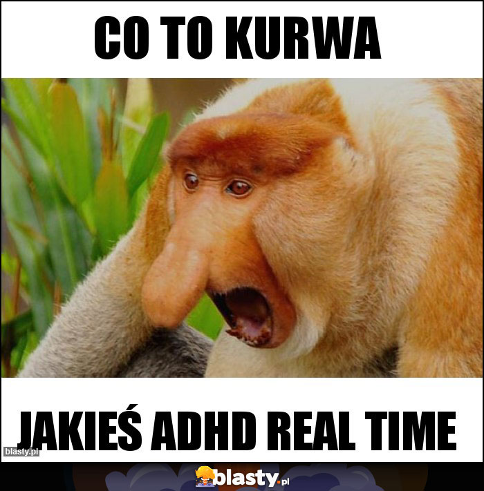 Co to kurwa