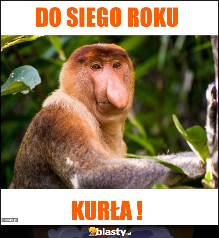 Do siego roku