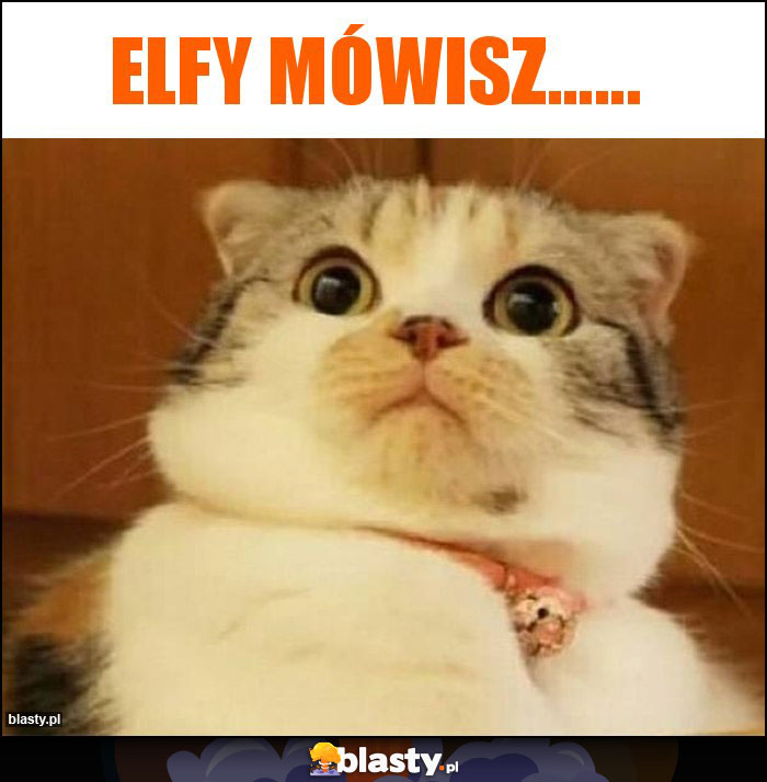 Elfy mówisz......