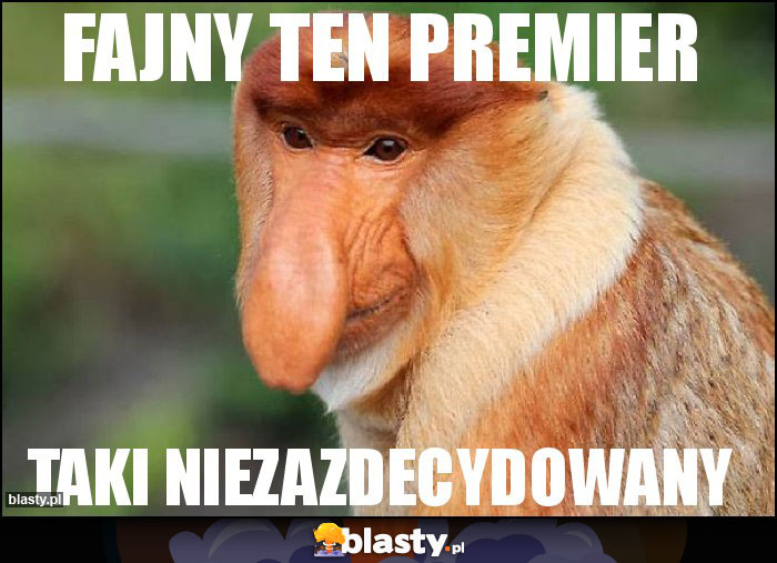 FAJNY TEN PREMIER