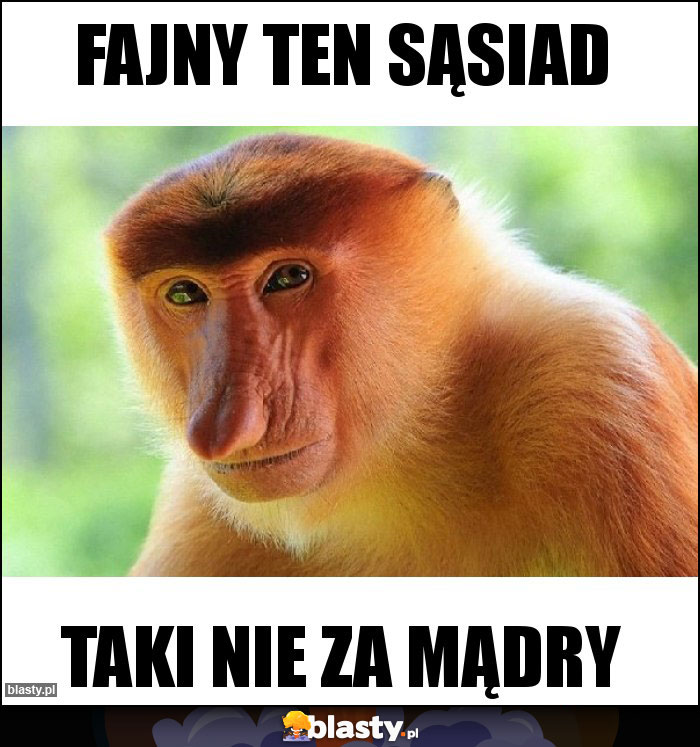 FAJNY TEN SĄSIAD