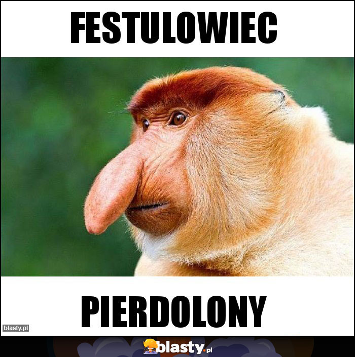 Festulowiec