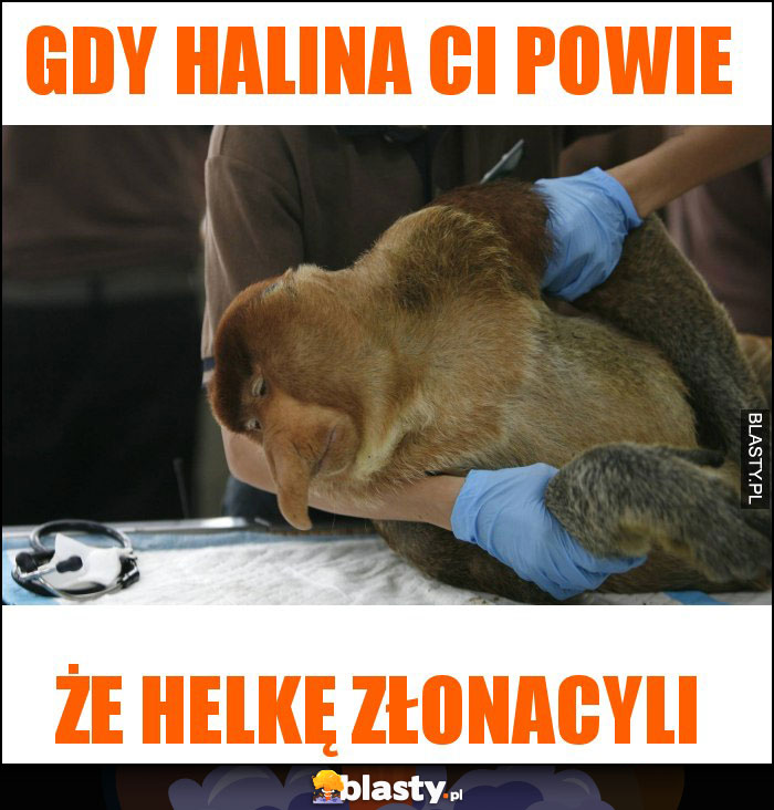 gdy halina ci powie