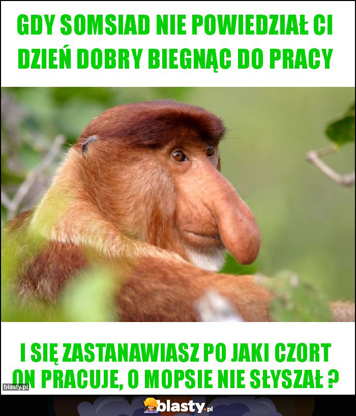 gdy somsiad nie powiedział ci dzień dobry biegnąc do pracy