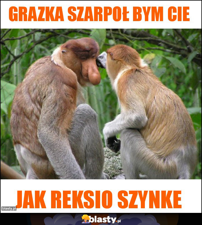 Grazka szarpoł bym Cie