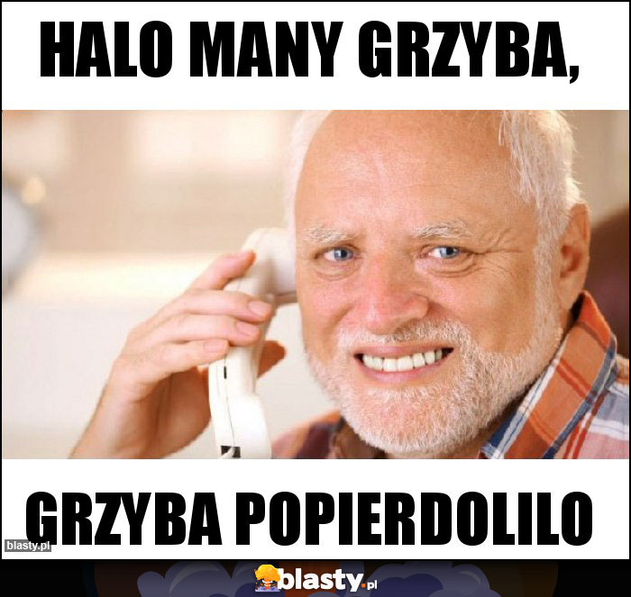 Halo Many grzyba,