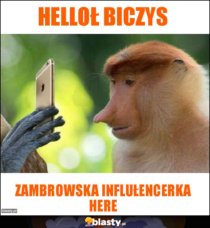 HElloł biczys