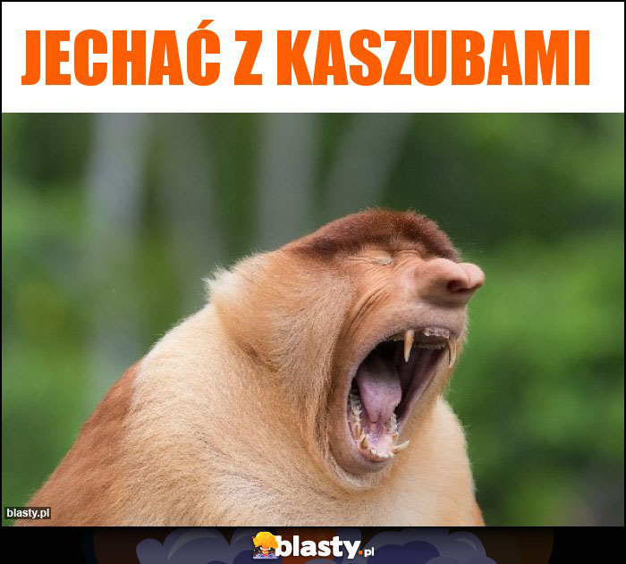 Jechać z Kaszubami