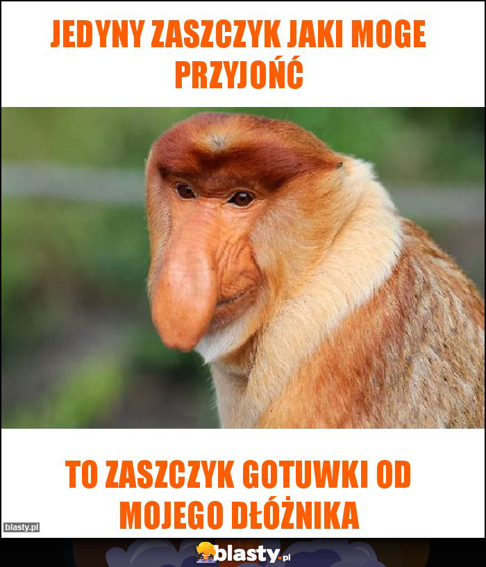 JEDYNY ZASZCZYK JAKI MOGE PRZYJOŃĆ