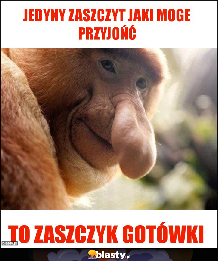 Jedyny zaszczyt jaki moge przyjońć