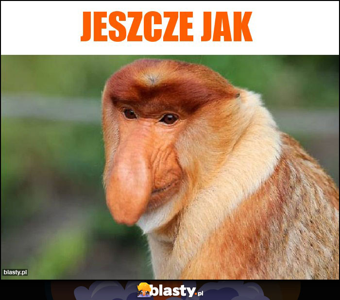 Jeszcze jak