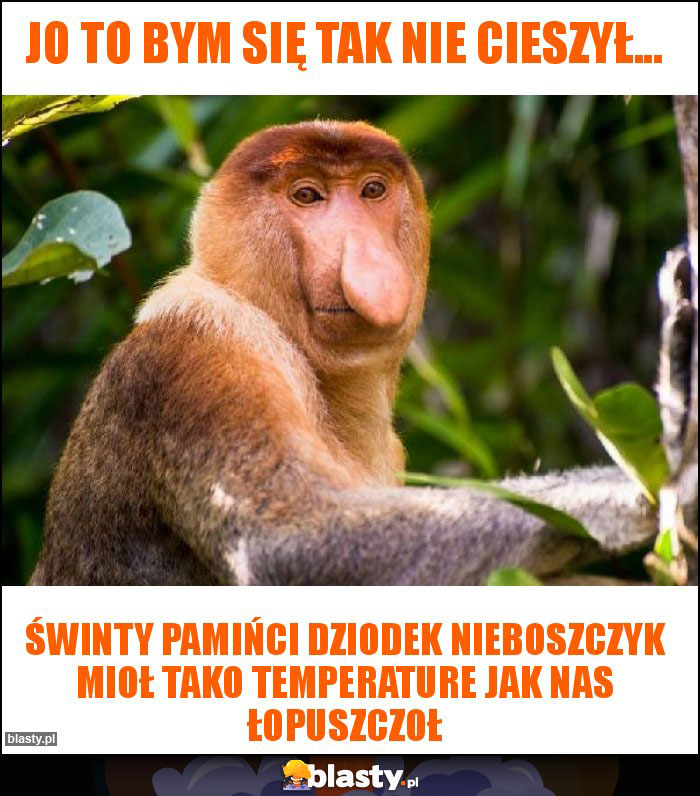 Jo to bym się tak nie cieszył...