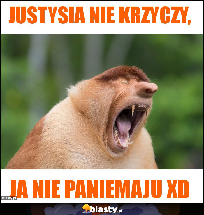 JUSTYSIA NIE KRZYCZY,