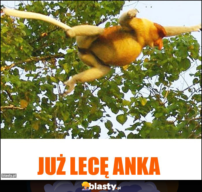 Już lecę Anka