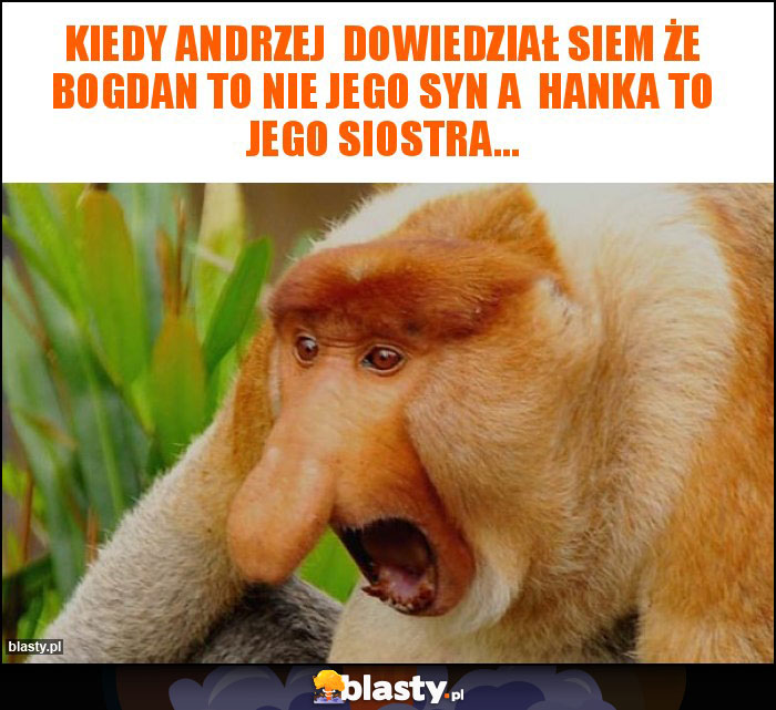 Kiedy andrzej  dowiedział siem że bogdan to nie jego syn a  hanka to jego siostra...