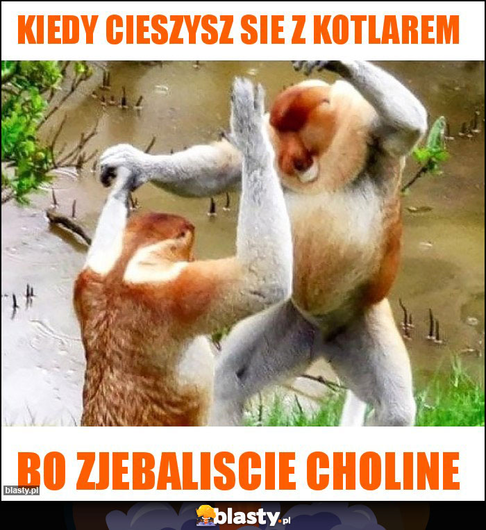 Kiedy cieszysz sie z Kotlarem