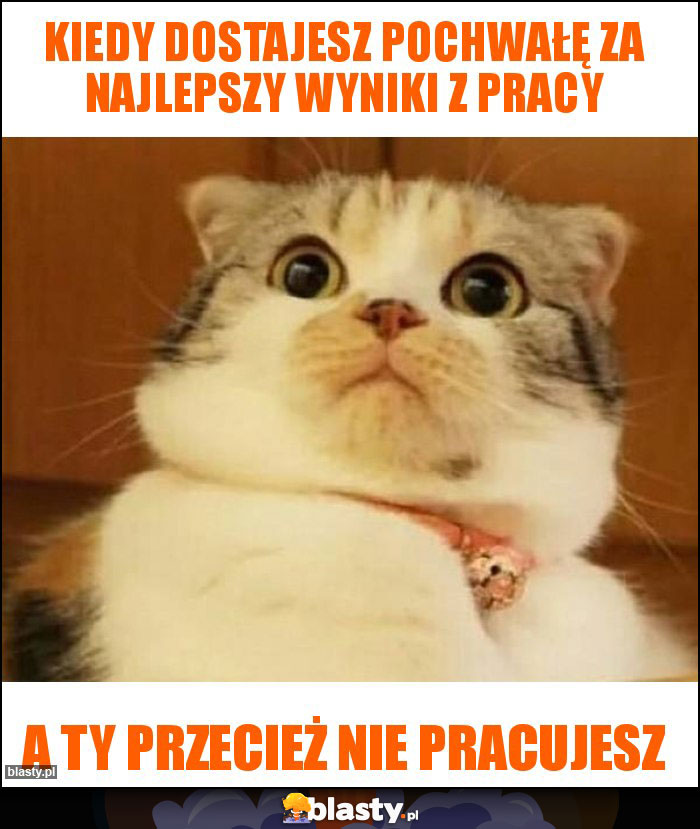 Kiedy dostajesz pochwałę za najlepszy wyniki z pracy