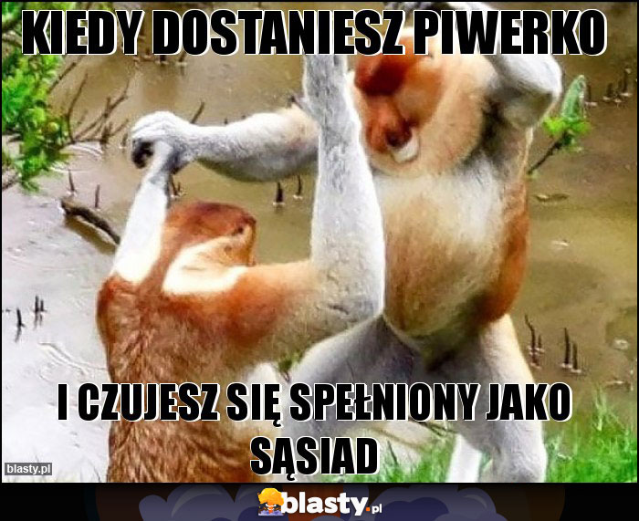 KIEDY DOSTANIESZ PIWERKO