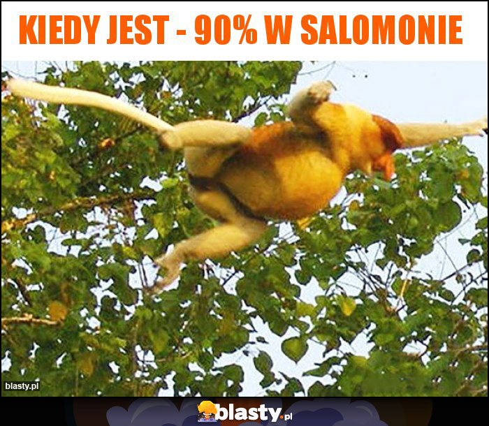 Kiedy jest - 90% w Salomonie