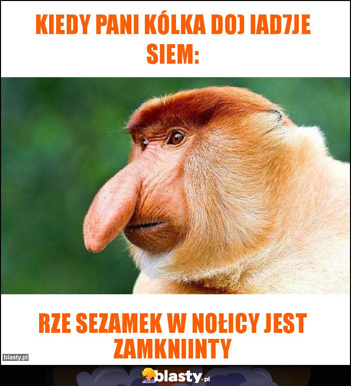 Kiedy pani Kólka do) iad7je siem: