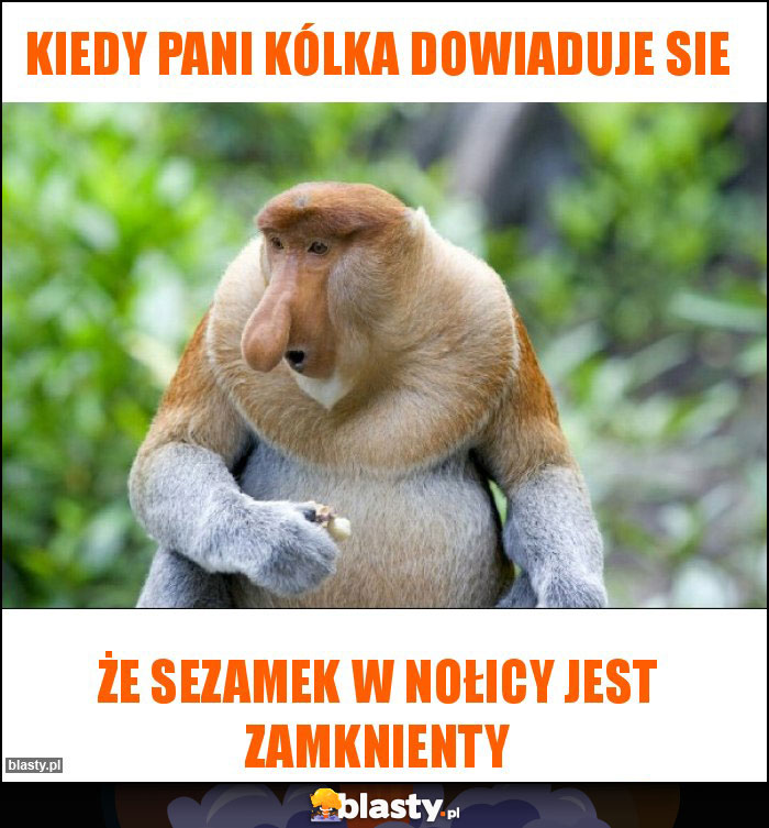 Kiedy pani Kólka dowiaduje sie