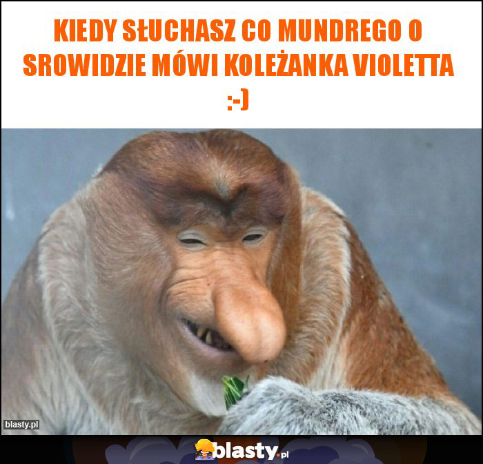 Kiedy słuchasz co mundrego o srowidzie mówi koleżanka Violetta :-)