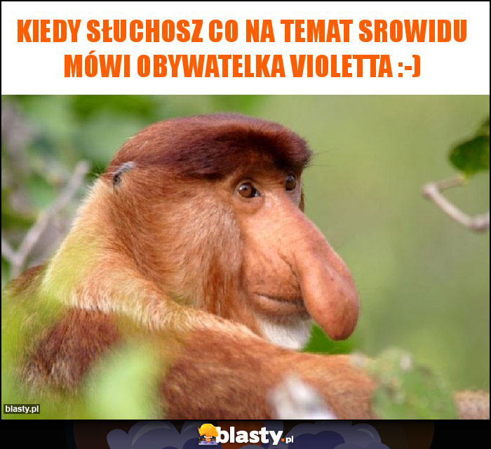 Kiedy słuchosz co na temat srowidu mówi obywatelka Violetta :-)