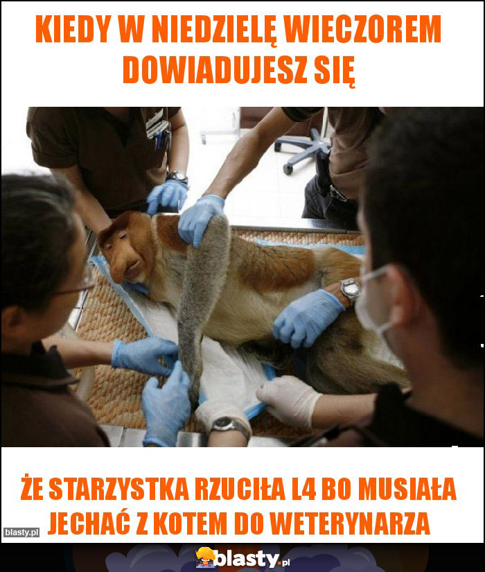 Kiedy w niedzielę wieczorem dowiadujesz się