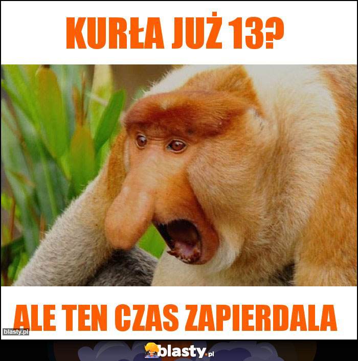 kurła już 13?