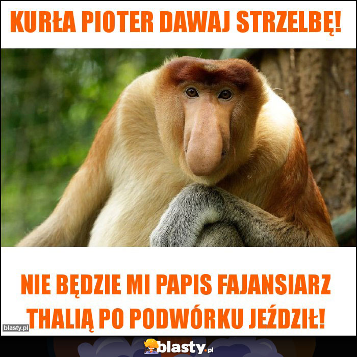 Kurła Pioter dawaj strzelbę!