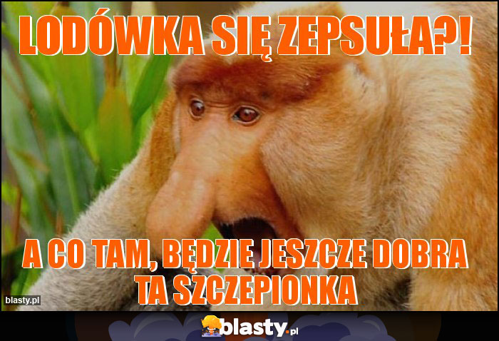 LODÓWKA SIĘ ZEPSUŁA?!