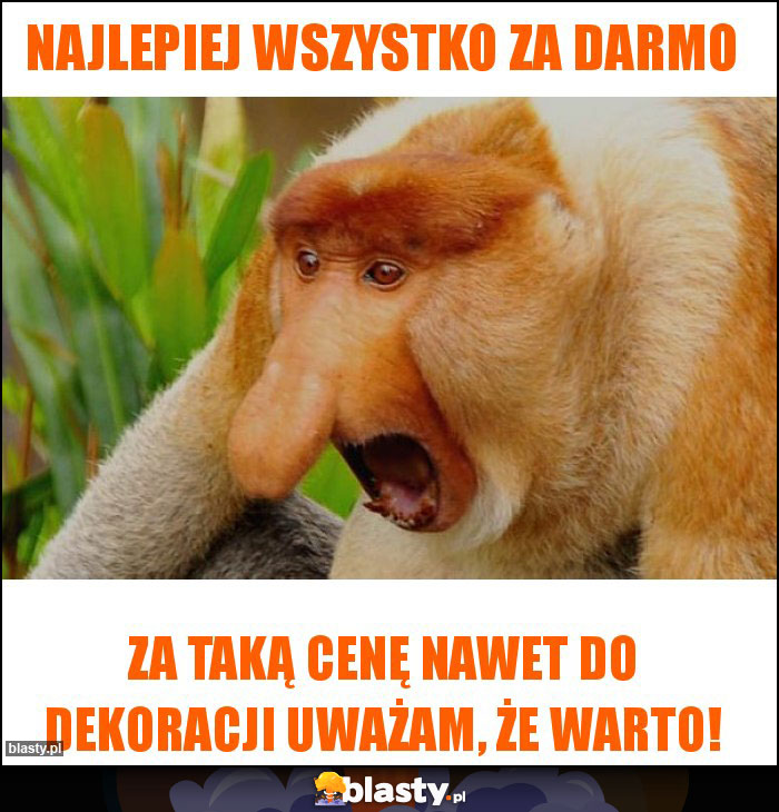 Najlepiej wszystko za darmo