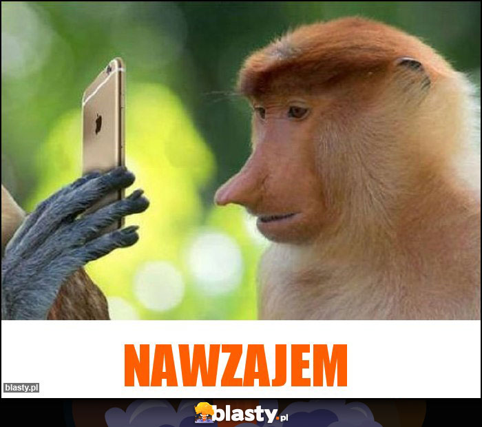 Nawzajem